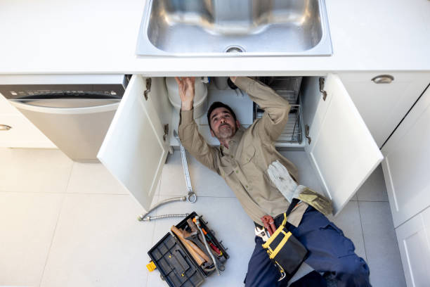 Best Plumbing Services Near Me  in Penbrook, PA